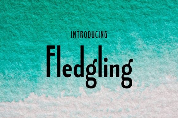 Fledgling: A Clean Sans Serif Font for Small Business Branding