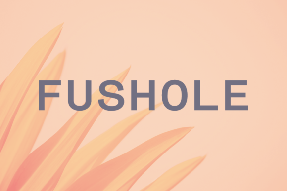 Fushole: A Clean Sans Serif Font for Modern Branding