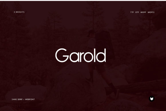 Garold: The Minimal Sans Serif Font for Scroll-Stopping Marketing