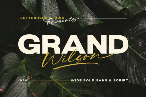 Grand Wilson: A Flexible Typeface for Modern Web Design