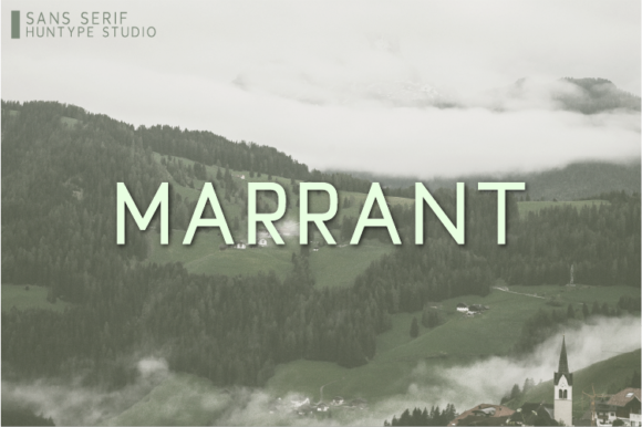 Marrant Font Review: A Versatile Sans Serif for Web Design