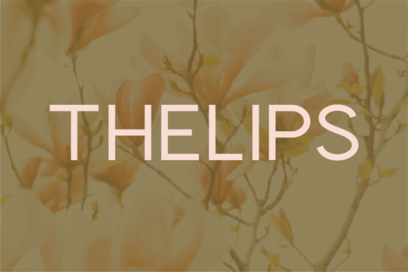 Thelips: A Minimal Sans Serif Font for Modern Web Design