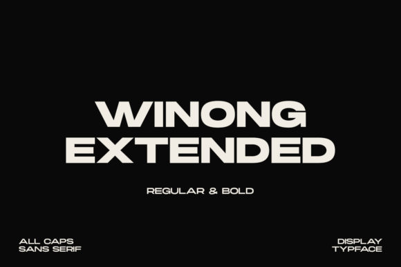 Winong Extended: A Clean Sans Serif Font for Your Brand